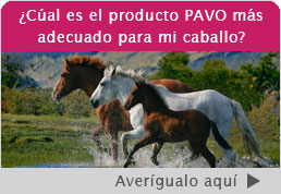 cual es el mejor producto PAVO para mi caballo. Pavo alimentación de calidad para tu caballo en la sierra noroeste de Madrid