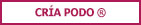 PAvo Podo Cria
